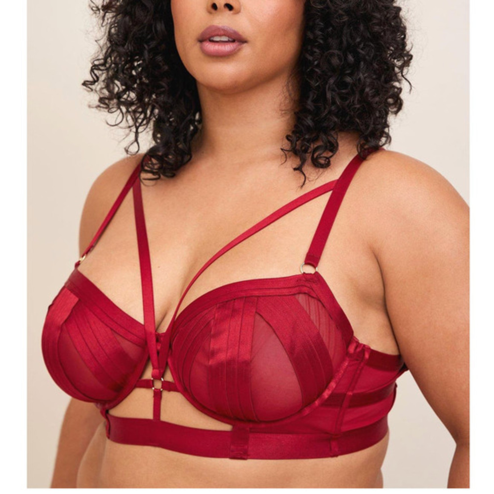 Torrid 4 (4X) Sexy Red Overt Strappy Mesh Cup Longline Lingerie Underwire Bra